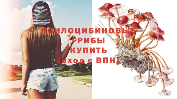 гидра Елабуга