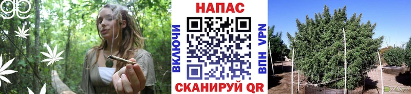 Бошки марихуана семена Няндома
